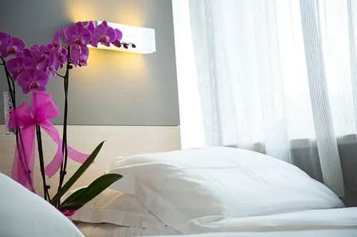 Hotel Delle Rose Cascia: Scopri il comfort a 20 metri dalla Basilica